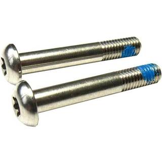 SRAM Flat Mount Bolte T25 - 27 mm Stål