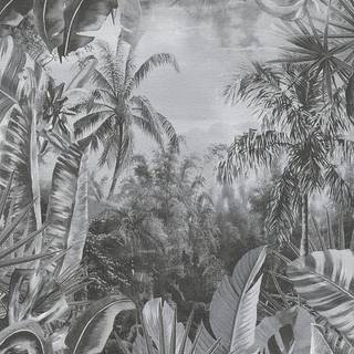 Aruba - 38356-4