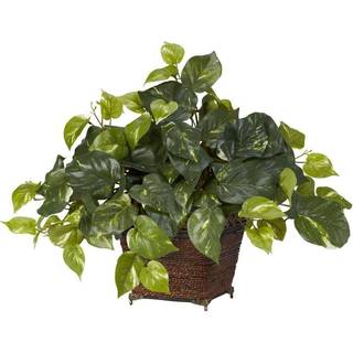 Pothos w/coiled rep Planter Silk Plant