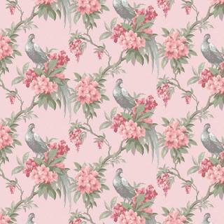 Crown Wallpaper Golden Pheasant M1665