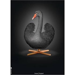 Brainchild – Plakat – Klassisk – Petroleumsblå – Svane