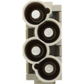 Harting Modul han cc 4 pol male