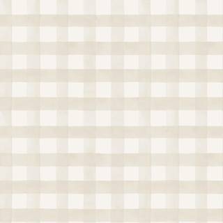Albany Wallpaper Watercolour Gingham 13290