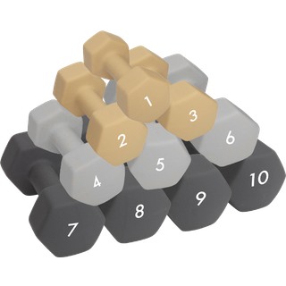 Abilica DumbBell Vægt 1 kg