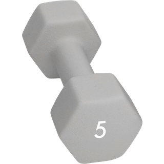 Abilica Dumbbells, 5 kg