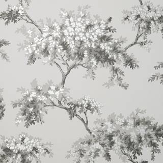 Crown Wallpaper Tree M1671