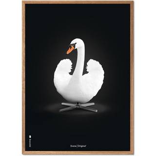 Brainchild – Plakat – Klassisk – Grøn – Svane