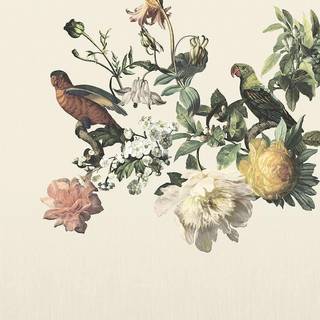 väggbild Big Birds cream - 307401