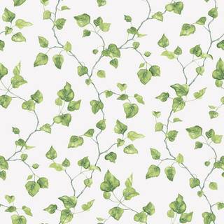 Just Ivy - G45431