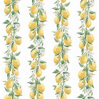 Lemon Stripe - G45441