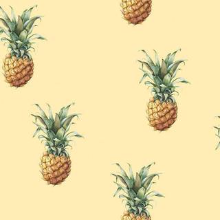 Pineapples - G45452