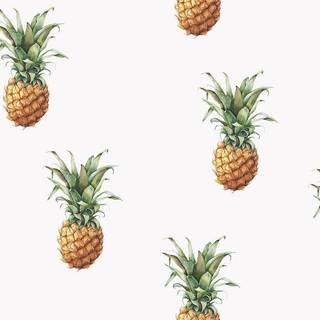 Pineapples - G45453