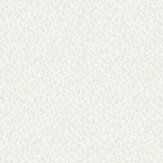 Junis - Beige