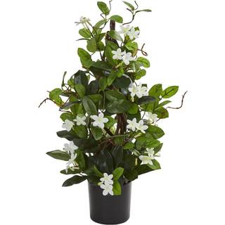 N?sten naturlig 24in. Stephanotis kunstig klatreplante