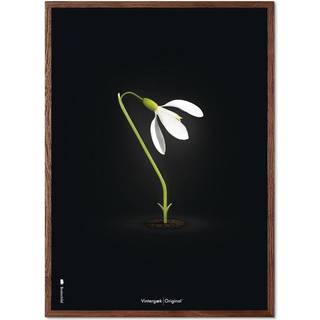 Brainchild – Plakat – Klassisk – Mørkeblå – Vintergæk