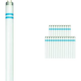 Fordelspakke 25x Philips MASTER TL - D Secura 58W - 840 kold hvid | 150cm