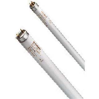 Lysrør FHE21W/176 FOODSTAR