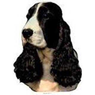 KW COCKER SPANIEL 18 CM /2 STK