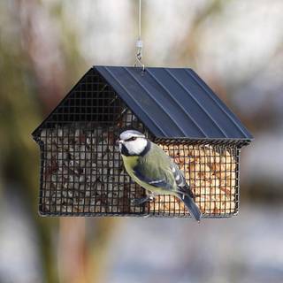 Wildlife Garden Foderhus til Nødder Sort - Udendørsliv fra Wildlife Garden