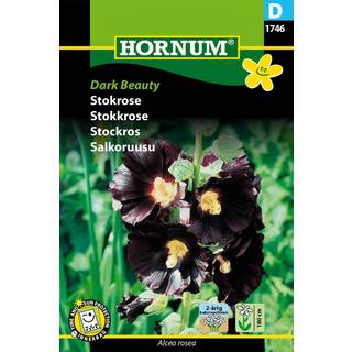 Stokrose - Dark Beauty - Helt mørkerøde næsten sorte stokroser - Blomsterfrø