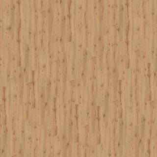 HARO Laminatgulv Tritty 100 Campus 4V Alpineg Natur - 532063