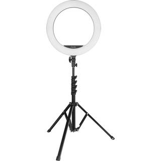 Dacota Platinum 16" RGB ringlys med stativ, sort ➞ På lager - klar til levering og afhentning
