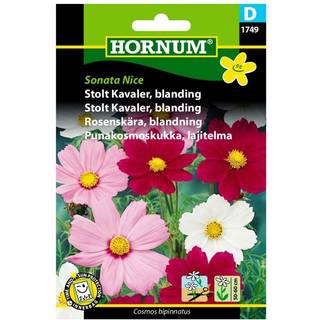 Stolt Kavaler blanding i hvide og rosa nuancer - Blomsterfrø