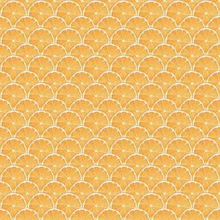 Lemon Scallop - G45439