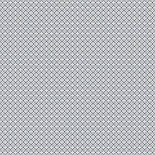 Leaf Dot Spot - G45433