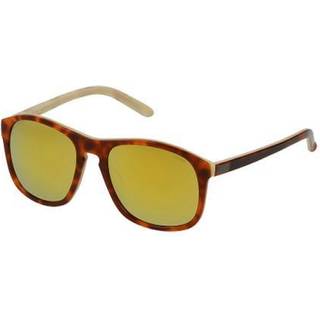 Lozza Mand SL1845V COOPER 7HGG Solbriller Acetat Havana Grå Firkantet Normal Flerskikts