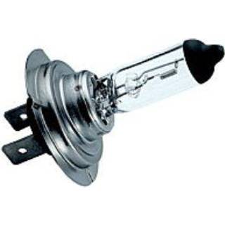 Strands H7 100W lampa