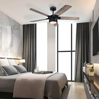 Westinghouse Morris loftventilator med LED-lys