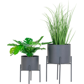 Pavaroto - Blomsterstander sæt i grå metal