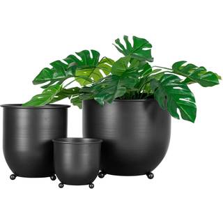 Vase, Nova sorte skjulere