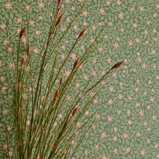Little flowers - Green