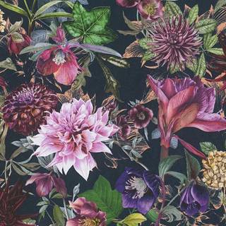 Albany Wallpaper Dreamy Floral 38175-6