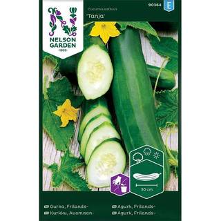 Frilandsagurk 'Tanja'