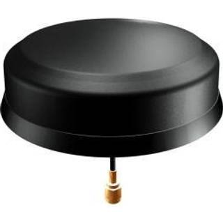 Smartdisc antenne combi LTE 2,5m sma han