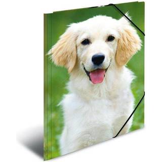 HERMA Elasticated folder A3 PP Dogs