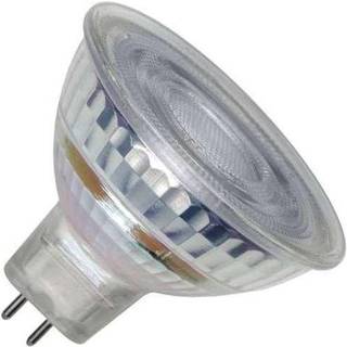 GU5.3 - SPL Spot MR16 12V Glas - Klar - 525lm - 2700K - CRI 82 - Dæmpbar*