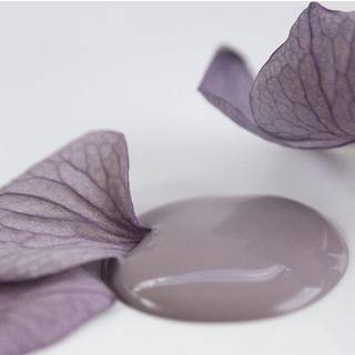 Delightful Plum kalkmaling