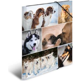 HERMA 3-flap folder - for A4 - dogs
