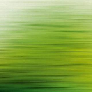 Metropolitan Stories Mural Brushed Green 38261-1