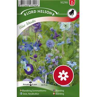 Sommerblomster Blå Mix