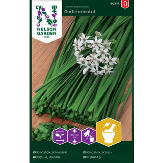 Kinaløg 'Garlic Oriental'
