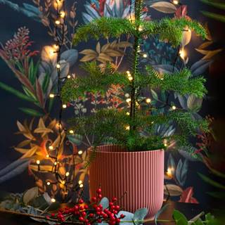 Elho Vibes Blomsterkrukke, 22 cm, delicate pink