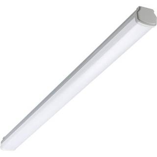 Signify Philips Ledinaire Industriarmatur IP66 WT060C LED 3600lm/840 1200mm