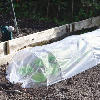 Drivhus tunnel i plast - transparent (På lager i varehus)