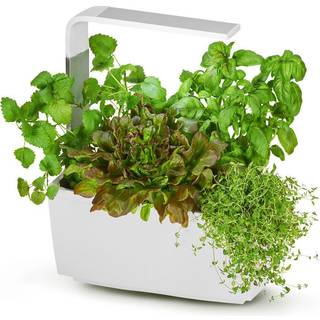 Tregren T6 GREY home garden