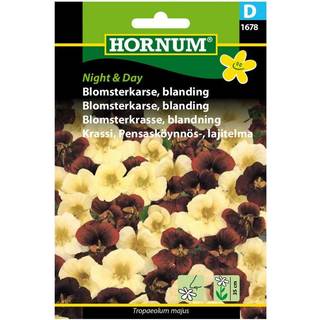 Blomsterkarse blanding &quot;Night and Day&quot; - Blomsterfrø